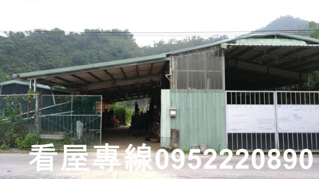 新北農地-1