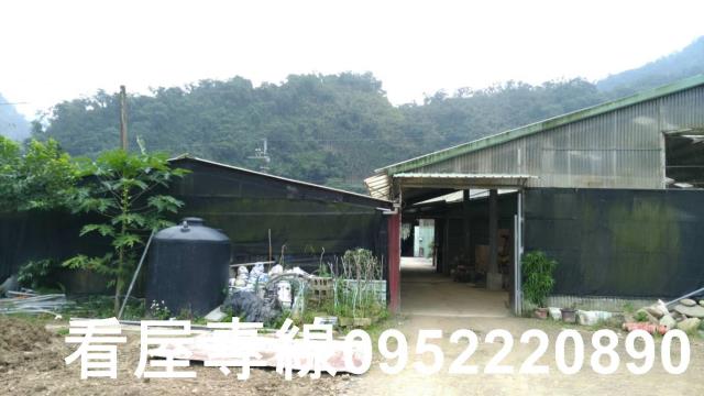 新北農地-3