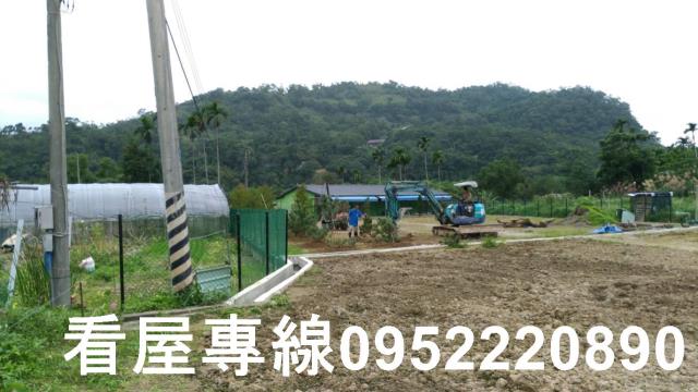 新北農地-4