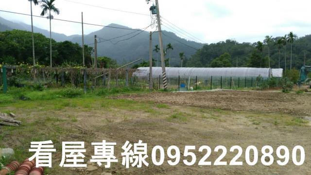 新北農地-5