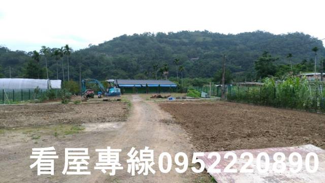 新北農地-6