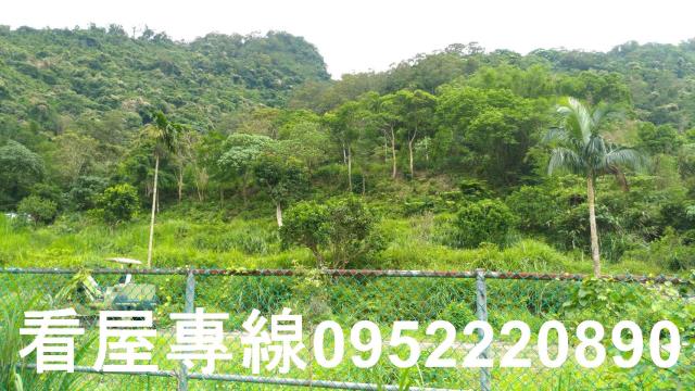 新店山坡地-1