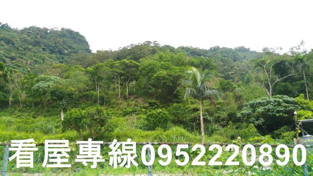 新店山坡地-2