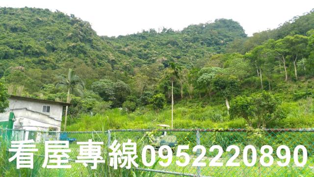 新店山坡地-3