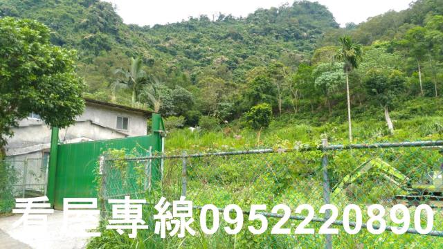 新店山坡地-7