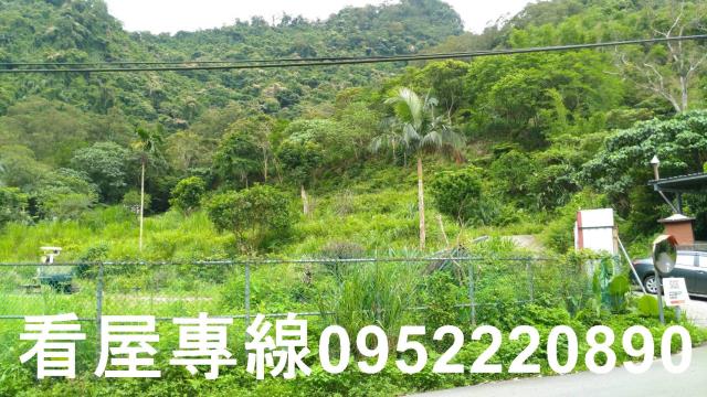 新店山坡地-8