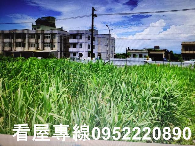 宜蘭壯圍農地-3