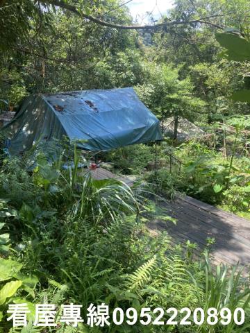 新北三峽山坡地-9