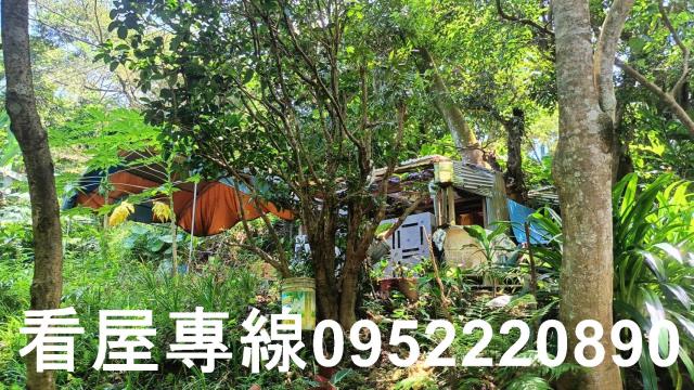 新北三峽山坡地-0
