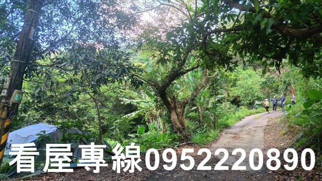 新北三峽山坡地-1