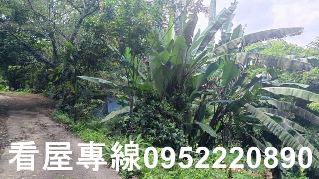 新北三峽山坡地-2