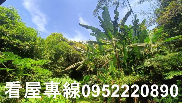 新北三峽山坡地-4