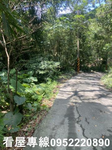 新北三峽山坡地-7