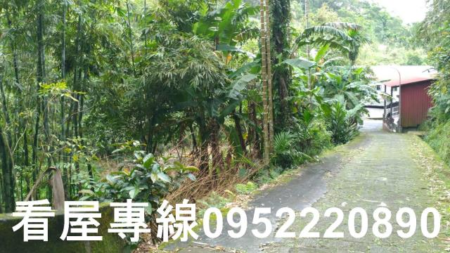 中和農地-9